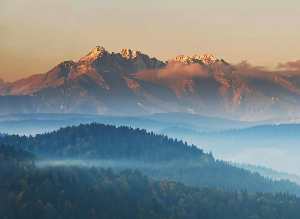 Czy da się w 2024  wyposażyć dom?