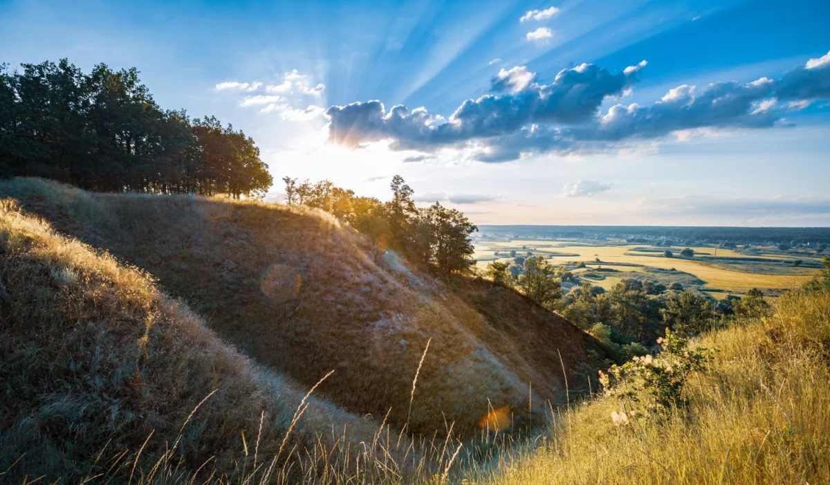 UWAGA! Nie Kupuj Nic Aby robić tanie pozycjonowanie Zanim Nie Przeczytasz Tego!