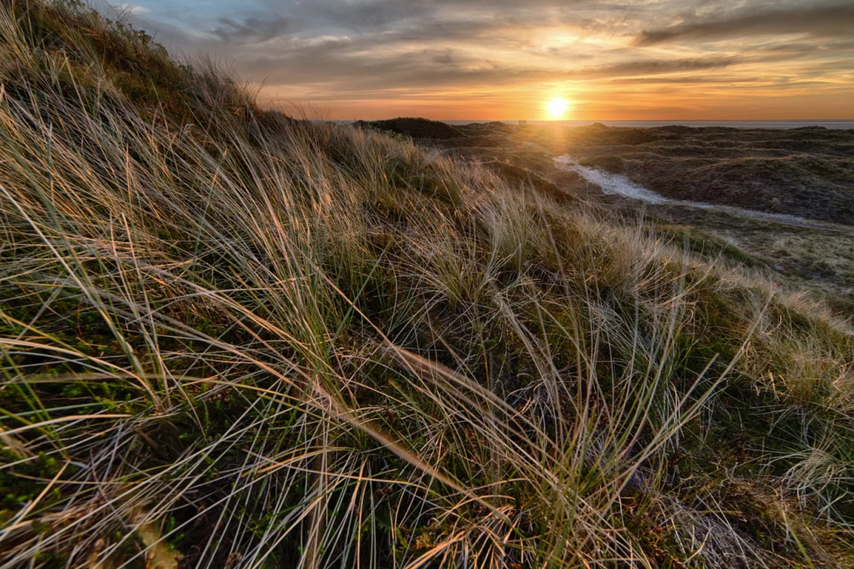 Chciałeś kiedyś wyjechać na wakacje ale nie wiesz jak sie za to zabrać?
