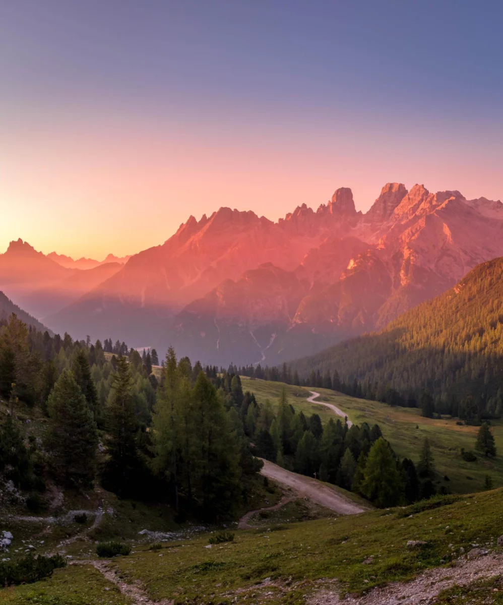 zamówić pokazy tańca Warszawa jak mistrz!