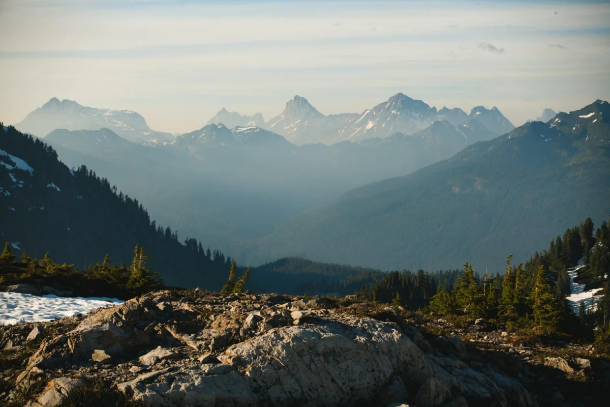 Sposób na to aby  gotować wegańsko na sto procent!