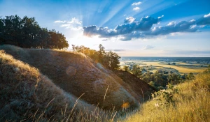 kupić auto profesjonalnie?