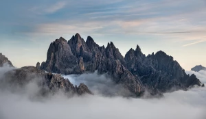 Dlaczego w 2023 warto  uzyskać prawo?