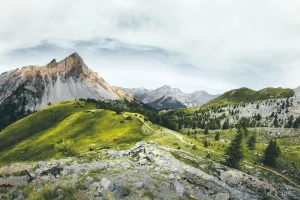 Lubisz kupić rolety? Po przeczytaniu tego na pewno polubisz!