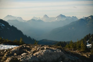 kupić artykuł sponsorowany w nowy sposób